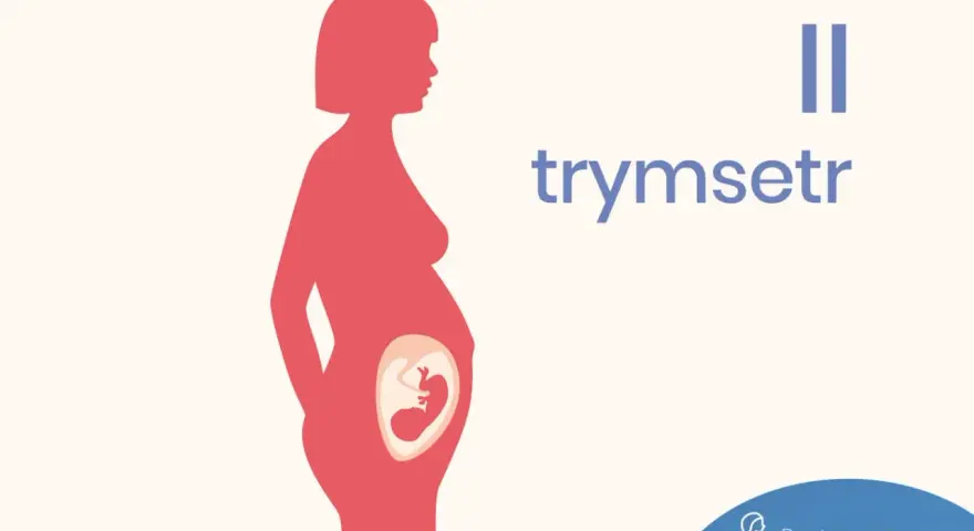 Sylwetka kobiety w ciąży z widocznym płodem. Napis "II trymestr" informuje o tym etapie.