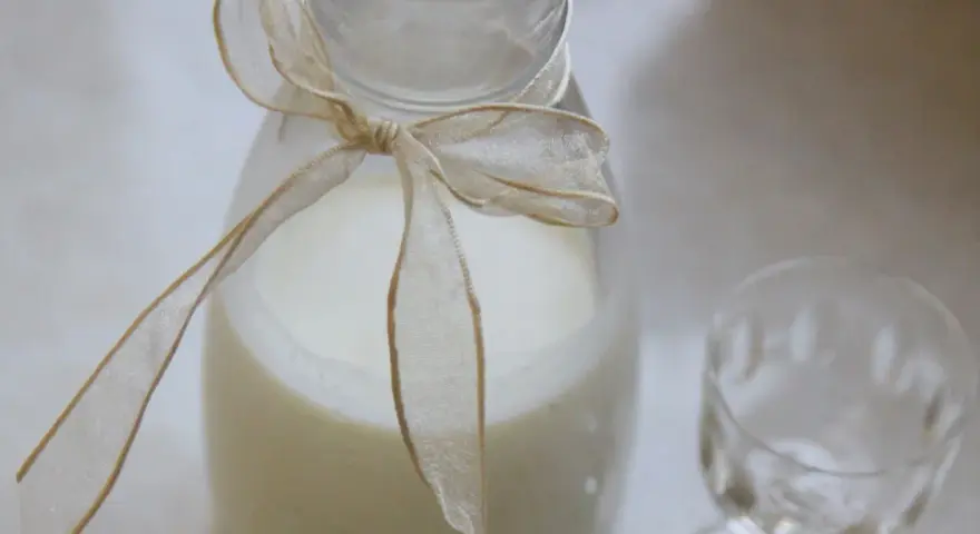 Biały płyn w karafce ozdobionej wstążką, obok pusty kieliszek. Idealne do przygotowania drinków, np. jak zrobic Malibu.