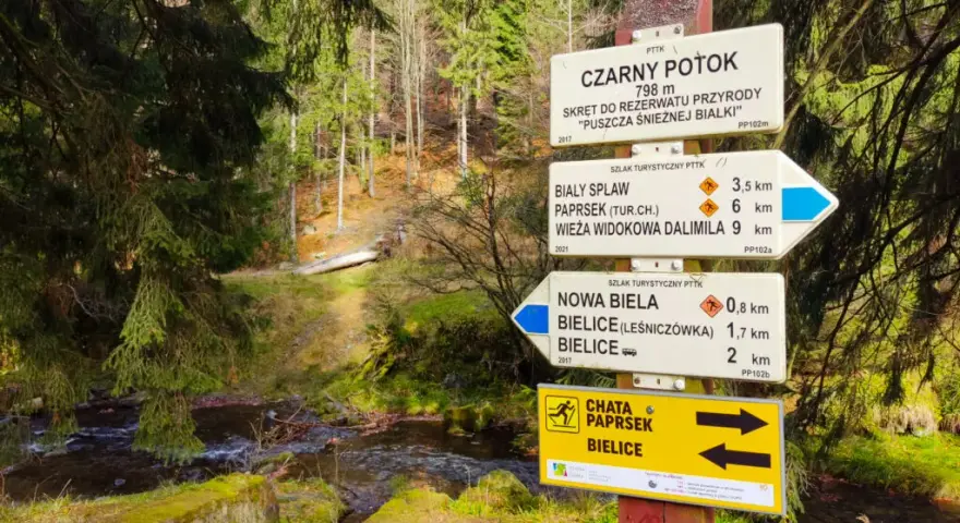 Kolory szlaków turystycznych - co oznaczają i jak je odczytać
