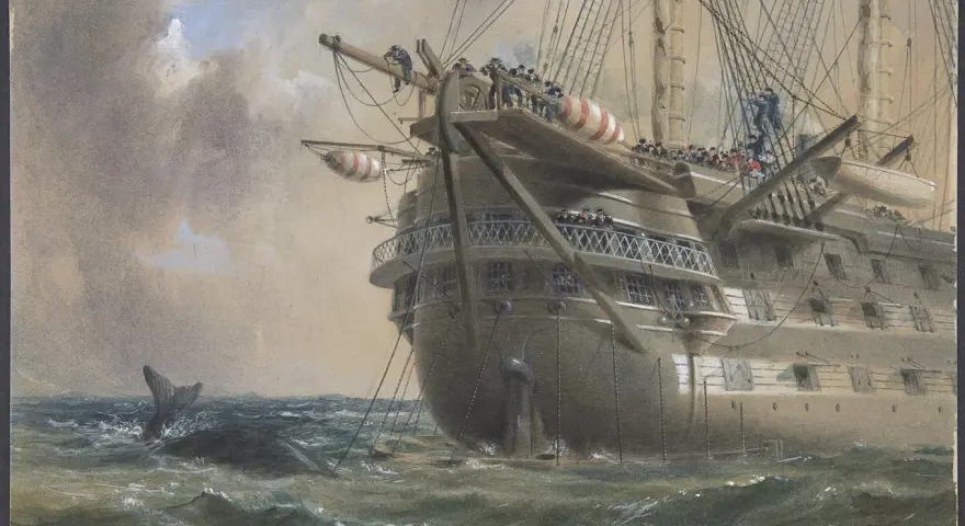 Un navire historique, peut-être celui du premier câble transatlantique, navigue en mer. Une baleine surgit des vagues.
