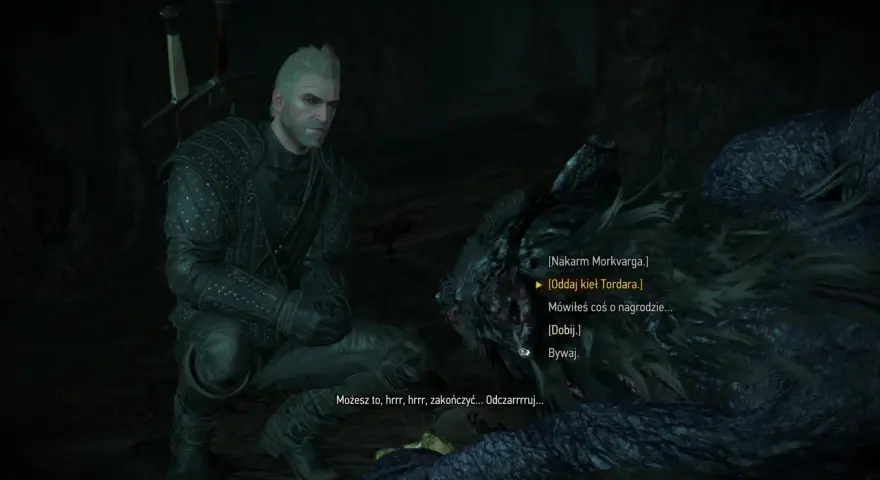 Geralt w wilczej skórze w Wiedźmin 3 klęczy przy potworze, wybierając opcję dialogową "Oddaj kieł Tordara".