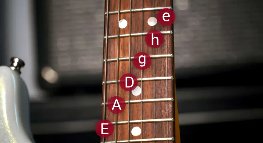 Gitarrenhals mit e-Bass beschriftung. Noten E, A, D, G, H, e sind auf den Saiten markiert.