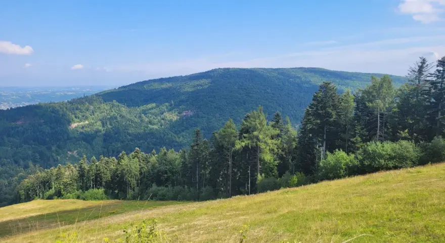 Zielone, zalesione wzgórza Myślenic pod błękitnym niebem. Słoneczna polana na pierwszym planie.