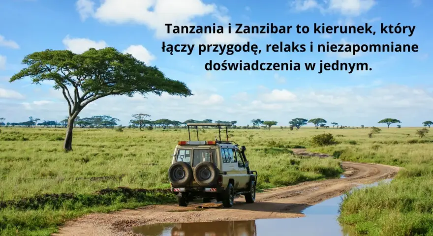 Wycieczka na safari z Zanzibaru. Samochód terenowy na drodze w afrykańskiej sawannie, z akacjami w tle.
