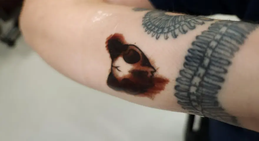 Świeża tatuażowa "second skin" na przedramieniu, z widocznym konturem głowy kota i innymi tatuażami.