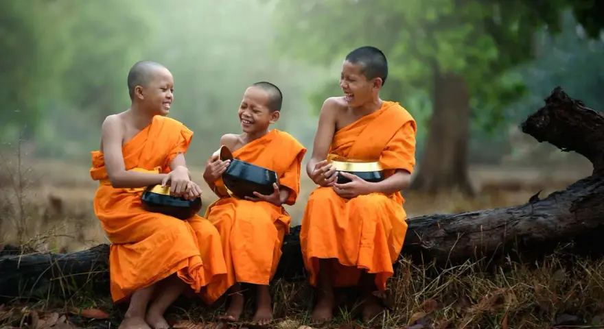 Three young monks in orange robes laugh heartily while holding alms bowls. They are sitting on a fallen log in a serene, misty forest.