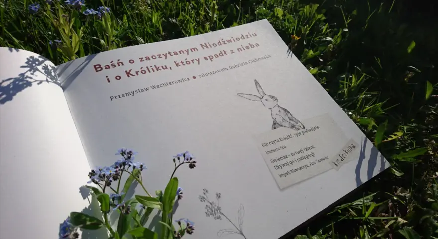 Otwarta książka z tytułem "Baśń o zaczytanym Niedźwiedziu i o Króliku, który spadł z nieba" leży na trawie wśród niezapominajek.