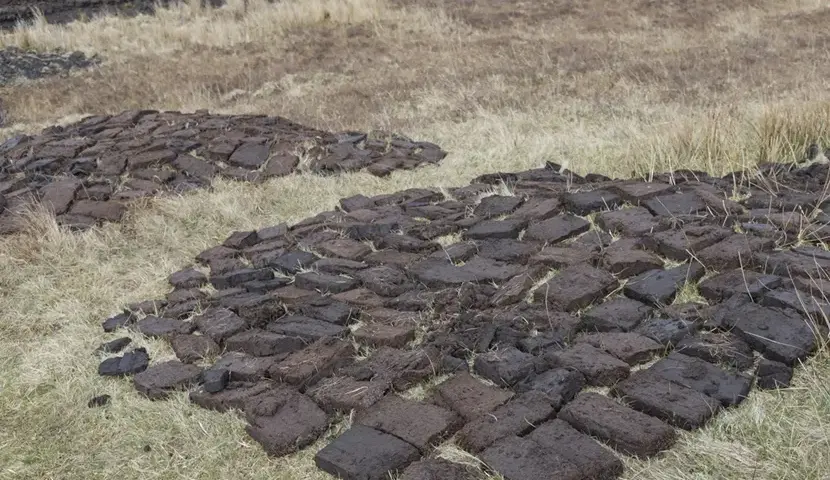 Co to jest brykiet torfowy i dlaczego warto go używać jako paliwo?