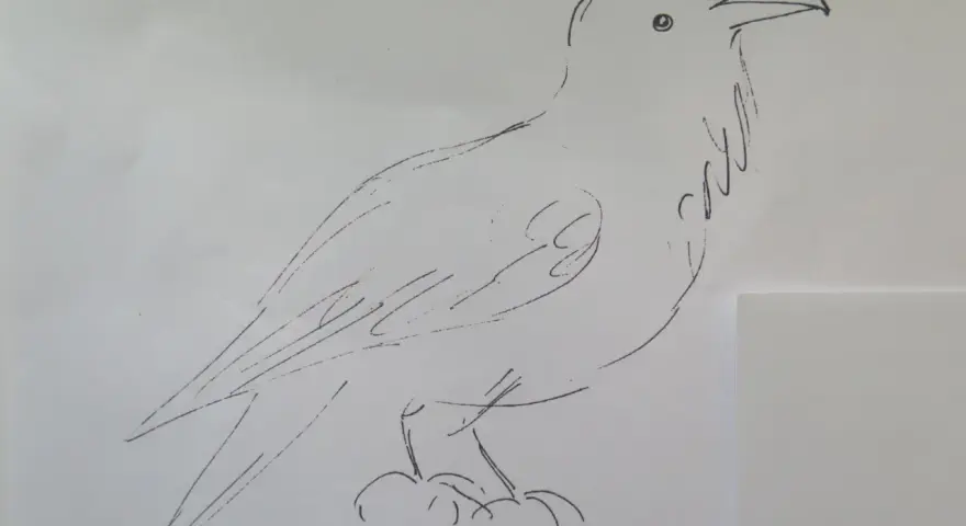 Szkic prostego kura, zarys ptaka z charakterystycznym dziobem i piórami.