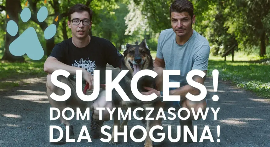 Dwóch mężczyzn i pies w parku. Napis "SUKCES! DOM TYMCZASOWY DLA SHOGUNA!" sugeruje udaną adopcję.