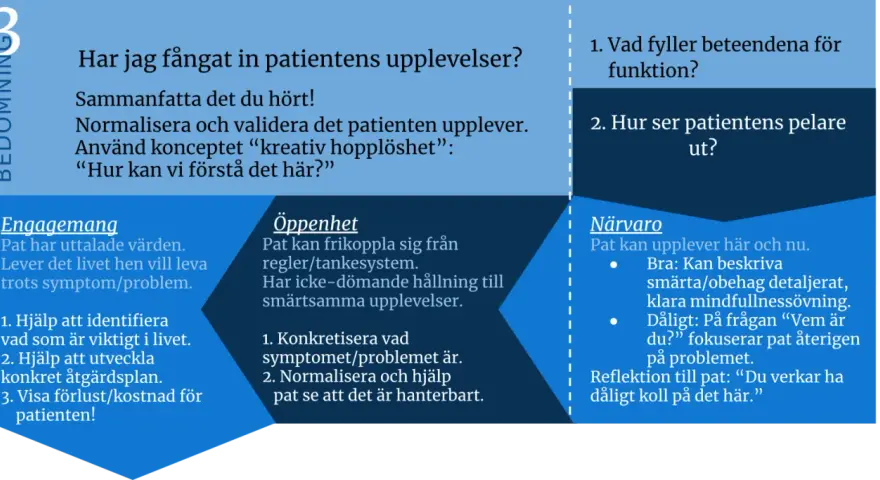 Bedömning av patientens upplevelser: Engagemang, öppenhet och närvaro. Fokus på att förstå och validera patientens situation, med en fokuserad act för att hantera problem.