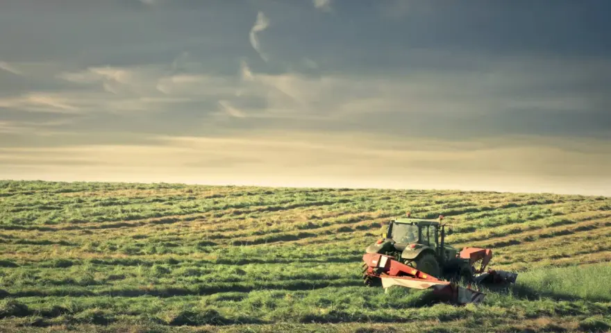Traktor kosi trawę na polu. To obraz dziedziczenia ziemi rolnej po rodzicach, symbol kontynuacji tradycji i ciężkiej pracy.