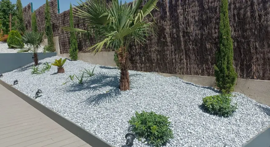 Jardines modernos con césped artificial y piedras blancas, palmeras, cipreses y plantas suculentas.