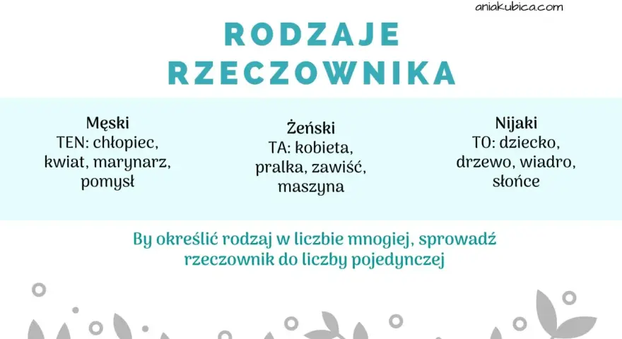 Rodzaje rzeczownika: męski (ten), żeński (ta), nijaki (to). Jakie pytania pomogą określić rodzaj?