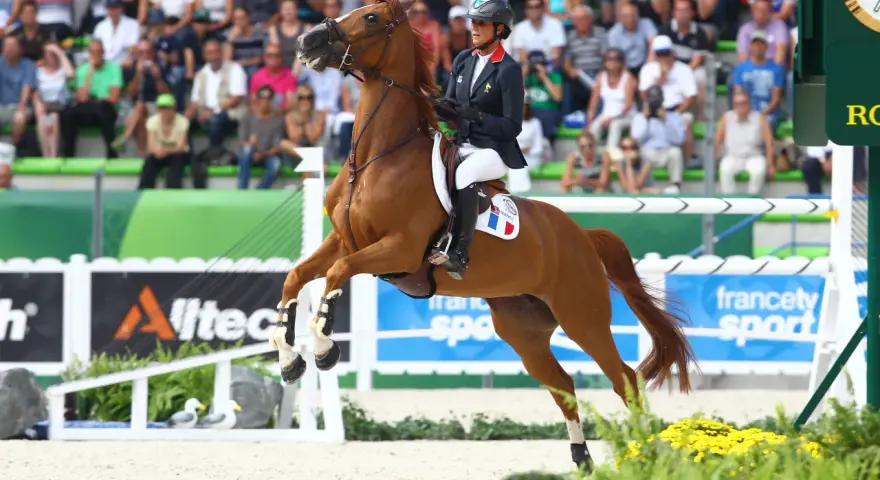 Une cavalière française, tel un papillon, s'envole avec son cheval au-dessus d'une barrière. La flora de mariposa, ici représentée par des fleurs jaunes, borde la piste.