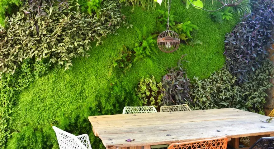 Un jardín vertical exuberante, con un diseño que recuerda al moss graffiti, crea un telón de fondo natural para una mesa de madera y sillas coloridas.