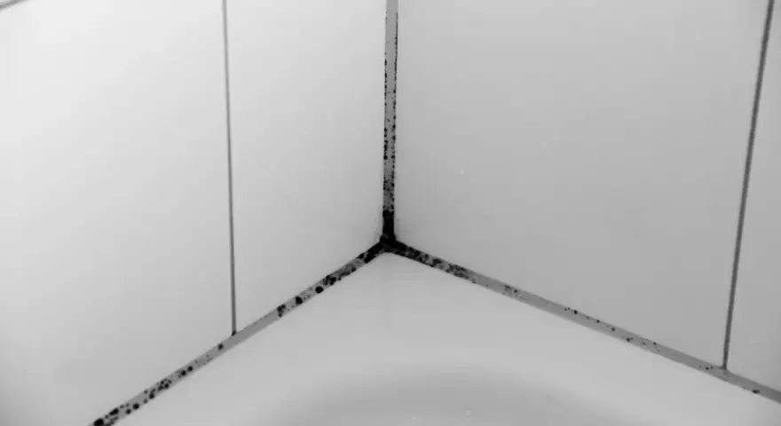Schimmelbildung in den Fugen eines Badezimmers, ein deutliches Zeichen für Wasserschaden.