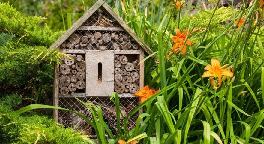 Ett insektshotell i trä, fyllt med träbitar och bamburör, står i en lummig trädgård bland gröna blad och orange liljor. En perfekt insektshotell placering för att locka pollinerare.