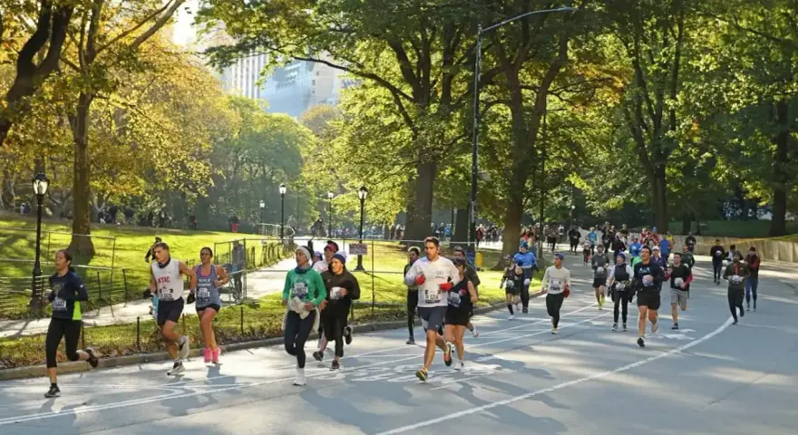 I partecipanti alla maratona di New York corrono lungo un viale alberato in una giornata autunnale, con il sole che filtra tra le foglie dorate.