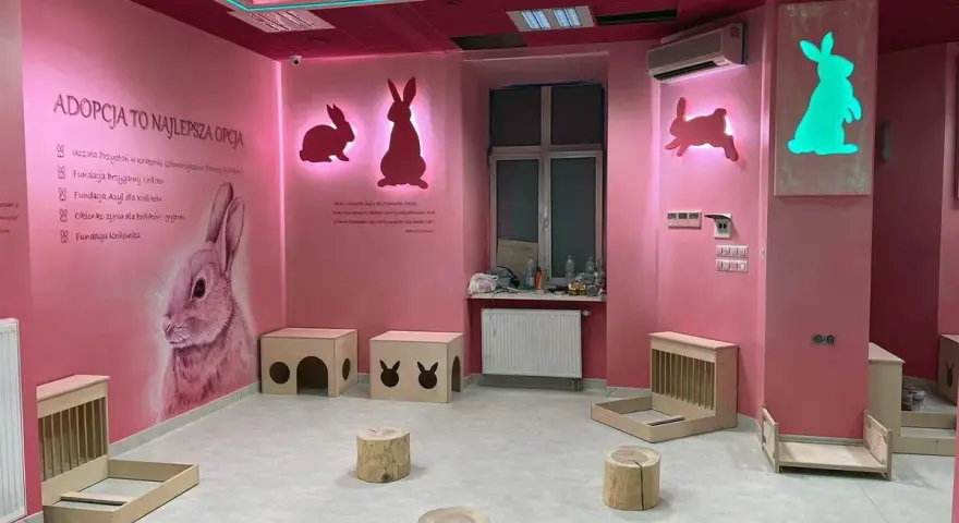 Różowa kawiarnia ze zwierzętami, ozdobiona królikami. Wnętrze zachęca do adopcji, oferując przestrzeń dla królików.