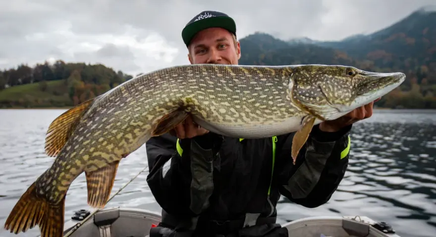 Glücklicher Angler hält stolz einen großen Hecht im Boot. Ein erfolgreicher Tag auf Hecht angeln!