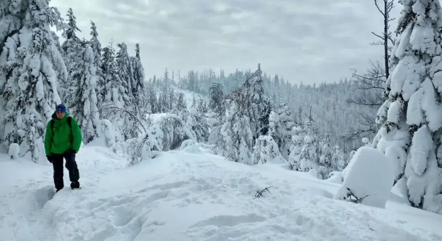 Chłopiec w zielonej kurtce przemierza zasypany śniegiem Beskid Mały. Drzewa pokryte grubą warstwą puchu tworzą zimowy krajobraz.