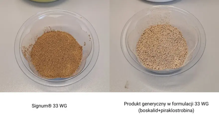 Dwa naczynia z granulatem. Po lewej Signum® 33 WG, po prawej produkt generyczny.