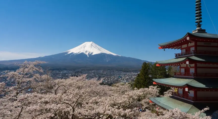 Widok na najwyższy szczyt Japonii, górę Fudżi, otoczoną kwitnącymi wiśniami i tradycyjną pagodą.