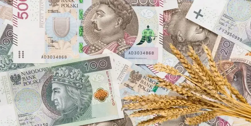 Ile kosztuje tona zboża w skupie? Sprawdź aktualne ceny i różnice