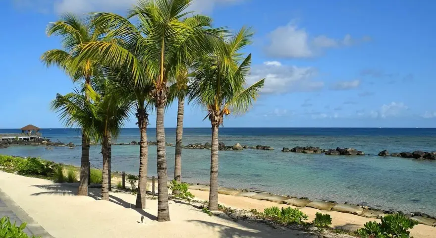 Rajskie plaże Mauritiusa z palmami kołyszącymi się na wietrze i turkusową wodą.