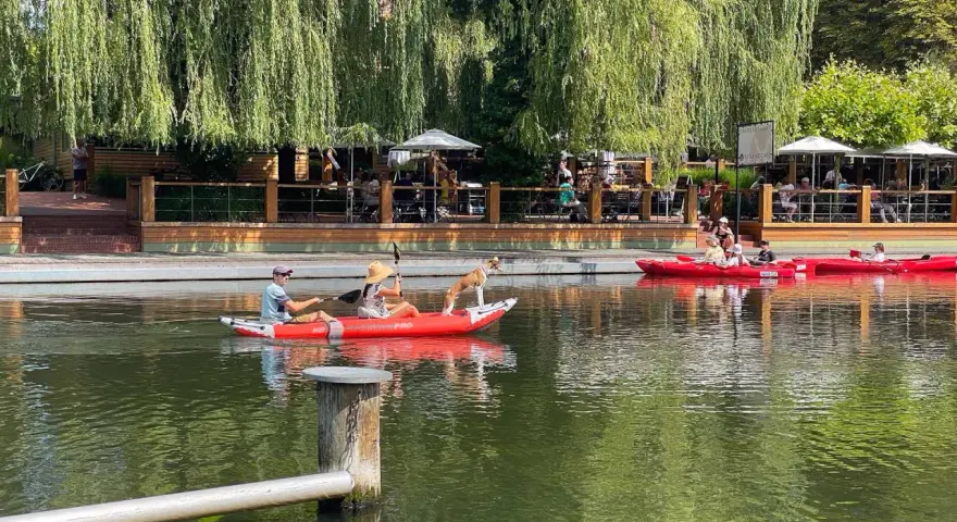 Ein Hund steht auf einem Kajak am Neuendorfer See, während Menschen im Wasser paddeln. Im Hintergrund eine Terrasse mit Gästen.