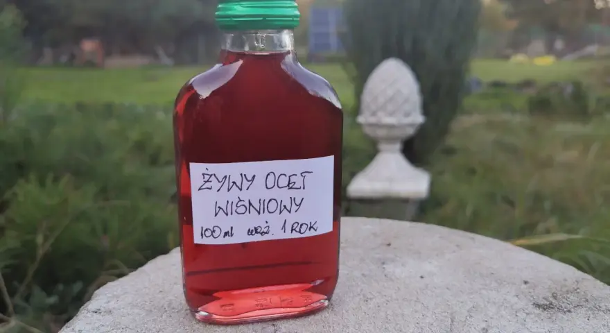 Butelka żywego octu wiśniowego, 100 ml, z zieloną zakrętką. W tle ogród. Ocet wiśniowy właściwości zdrowotne.