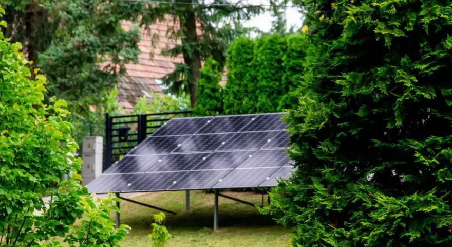Panele fotowoltaiczne w ogrodzie, otoczone zielenią, czerpią energię ze słońca.