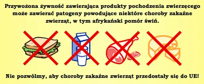 Żywność do Szwajcarii? Sprawdź limity i uniknij problemów!