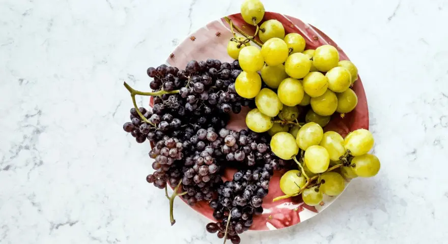 Zwei Trauben, dunkle und helle, liegen auf einem Teller. Sie sind ein Beweis dafür, wie gesund weintrauben sind.
