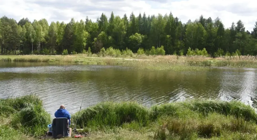 Mężczyzna w niebieskiej bluzie siedzi na krześle nad jeziorem, łowiąc ryby. W tle las i trzciny. Idealne miejsce na relaks, jak w **kiekrz**.