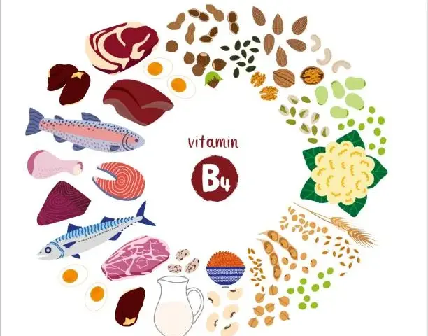 Vitamin B4: Wichtige Informationen über Mangel, Vorteile und Quellen
