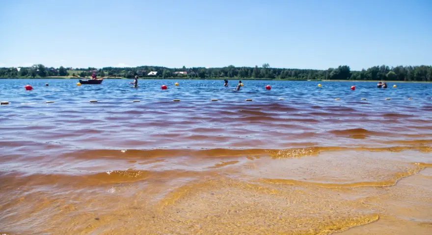 Słoneczny dzień nad zalewem. Ludzie kąpią się, pływają łódką, a czerwone i żółte boje wyznaczają bezpieczną strefę.