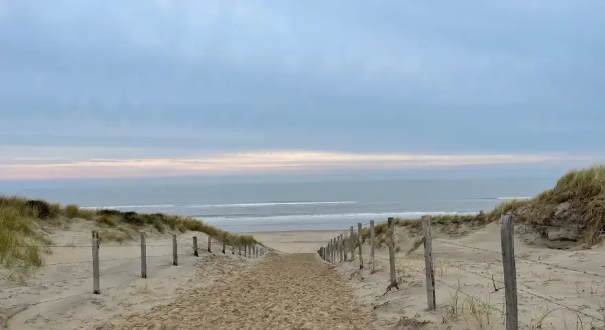 Spiagge Amsterdam: Guida alle Mete Vicine (Zandvoort, Scheveningen)
