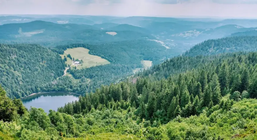 Widok na jezioro otoczone lasami i pagórkami. To jedno z najpiękniejszych miejsc w Schwarzwaldzie, gdzie natura zachwyca spokojem i zielenią.