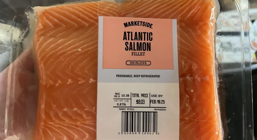 Łosoś do sushi: Jak wybrać bezpieczną rybę na surowo?