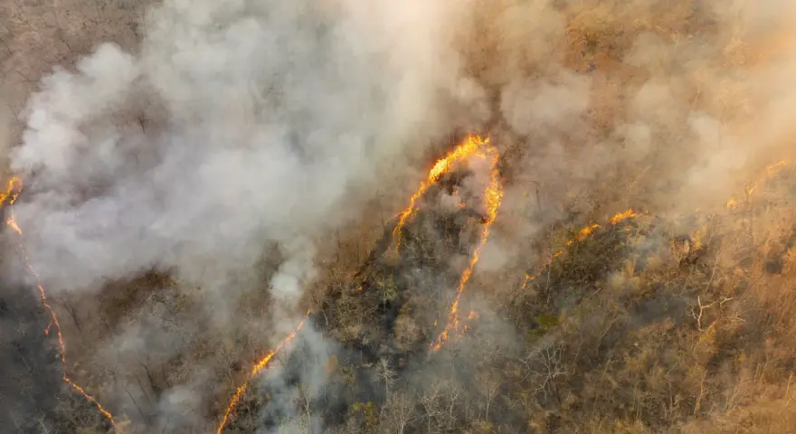 Globalne emisje CO2: Rekordy, liderzy, prognozy. Czy zatrzymamy wzrost?