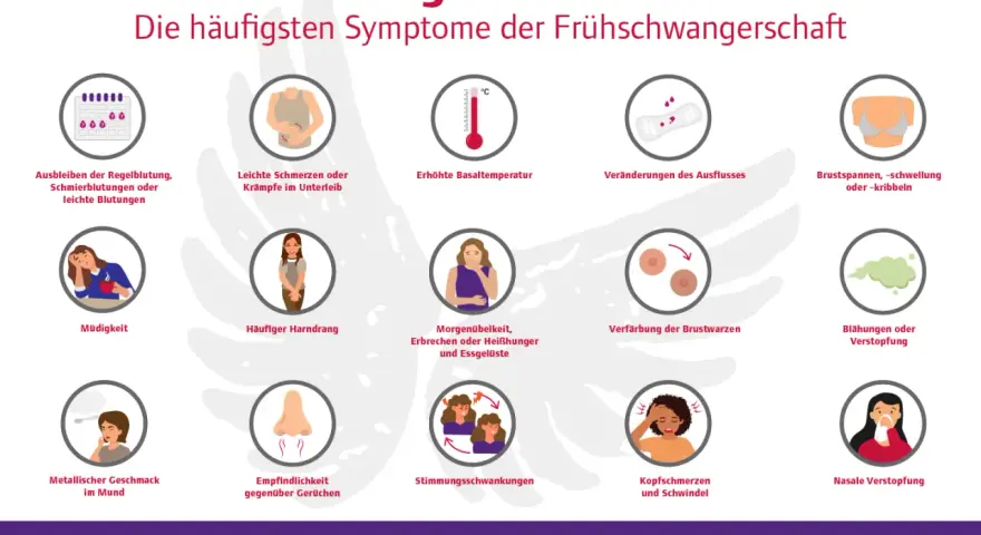 Frühe Schwangerschaftsanzeichen: Müdigkeit, Übelkeit, Brustspannen, veränderter Ausfluss, Stimmungsschwankungen und mehr. Informiert über die ersten Wochen der Schwangerschaft.