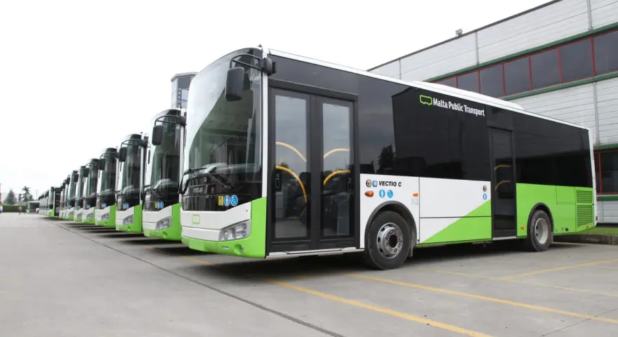 Una fila di autobus moderni, con livrea bianca e verde brillante, pronti per il servizio. Il segnale 142 è visibile su uno dei bus.