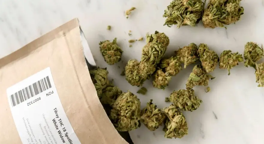 Privatrezept cannabisblüten kosten: So viel müssen Sie wirklich zahlen
