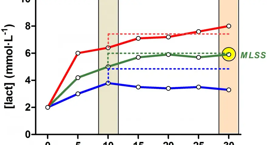 Grafico mostra i battiti durante la corsa a diverse potenze (260, 275, 290 W), con livelli di lattato nel tempo. Il punto MLSS è evidenziato.