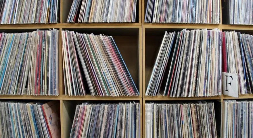 Regale voller Schallplatten, bereit für eine Session mit **ska musik**. Jede Hülle birgt einen Schatz an Rhythmen und Melodien.