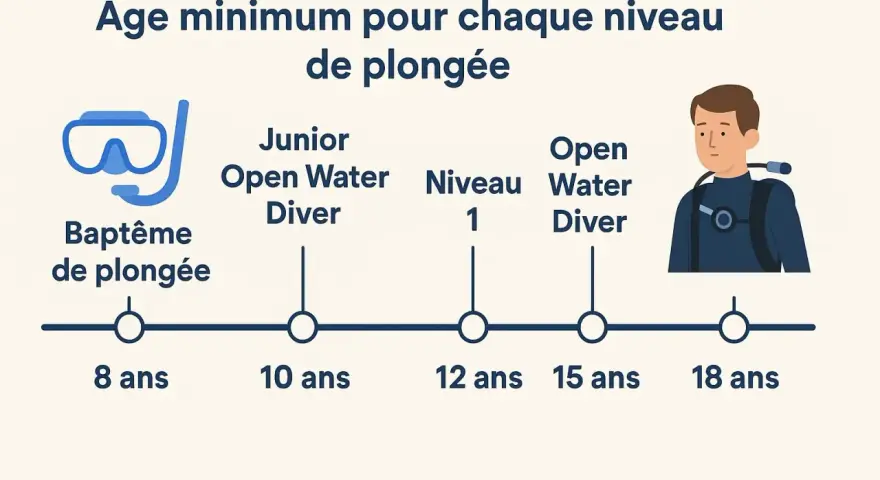Infographie montrant les âges minimums pour différents niveaux de plongée, de 8 à 18 ans.