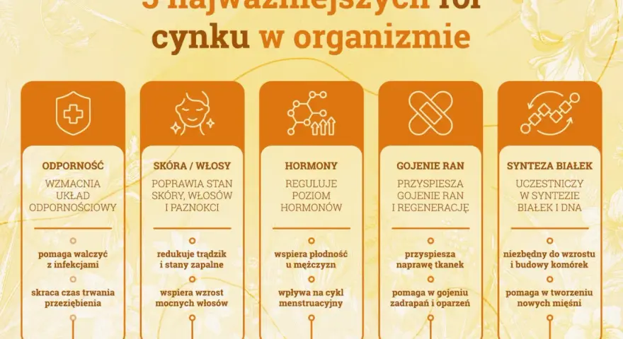 Grafika przedstawia 5 kluczowych ról cynku w organizmie: odporność, zdrowie skóry i włosów, regulację hormonów, gojenie ran i syntezę białek. Niedobór cynku objawy mogą być różnorodne.