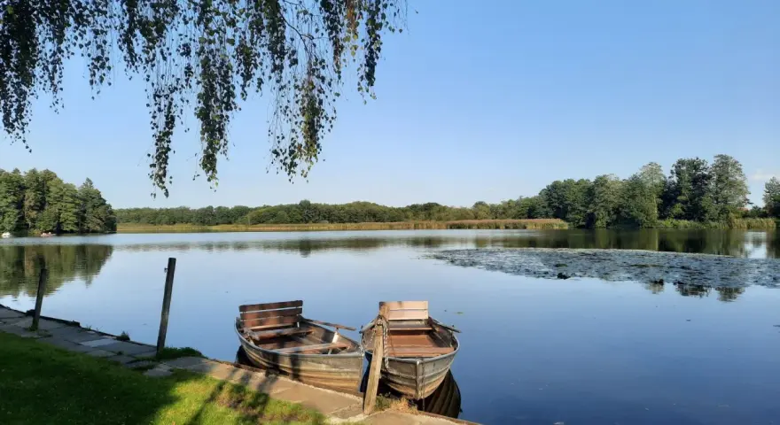 Zwei Ruderboote liegen am Ufer des Schwaigfurter Weihers. Über ihnen hängen Birkenzweige im sanften Licht.